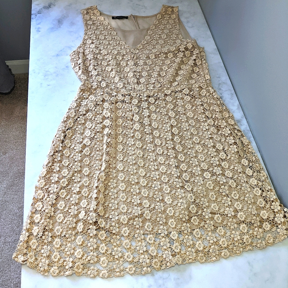 Crochet Style / Lacey Overlay Dress